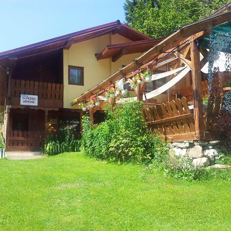 Cabana Suprema Armonie Dimbovicioara Ngoại thất bức ảnh