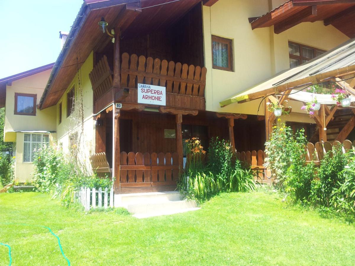 Cabana Suprema Armonie Dimbovicioara Ngoại thất bức ảnh